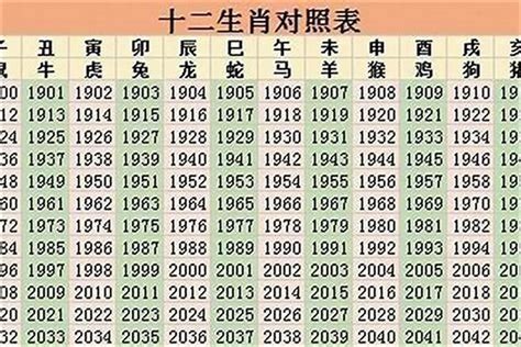 2011年是什么年